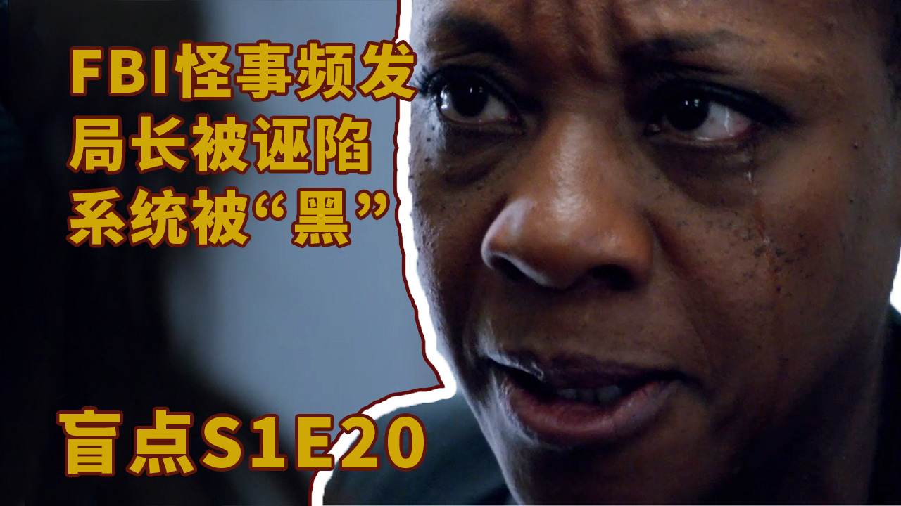 美剧《盲点》1-21,FBI事故频发,局长被陷害,系统被黑!